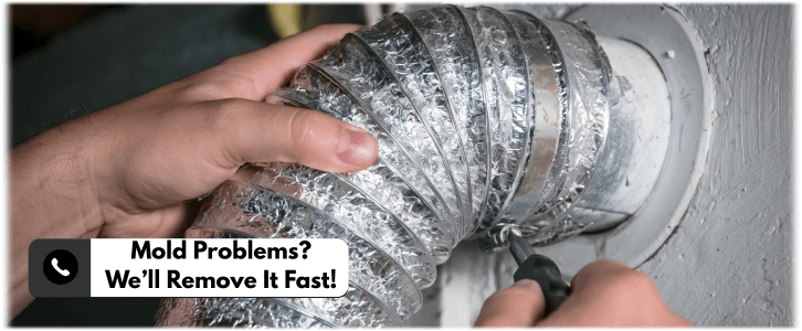 Air Duct Mold Removal in Canton GA