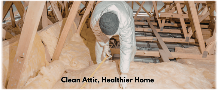 Attic Cleaning Canton GA