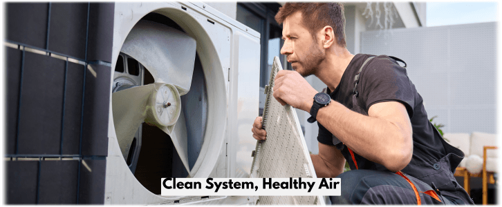 HVAC Mold Removal Canton GA